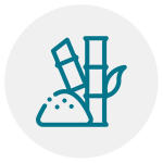 Pulpa Celulosa de Caña de Azúcar